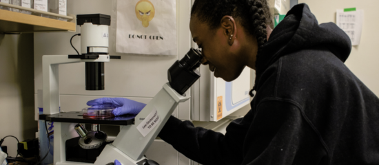 Hillman Academy student looking under a microscope