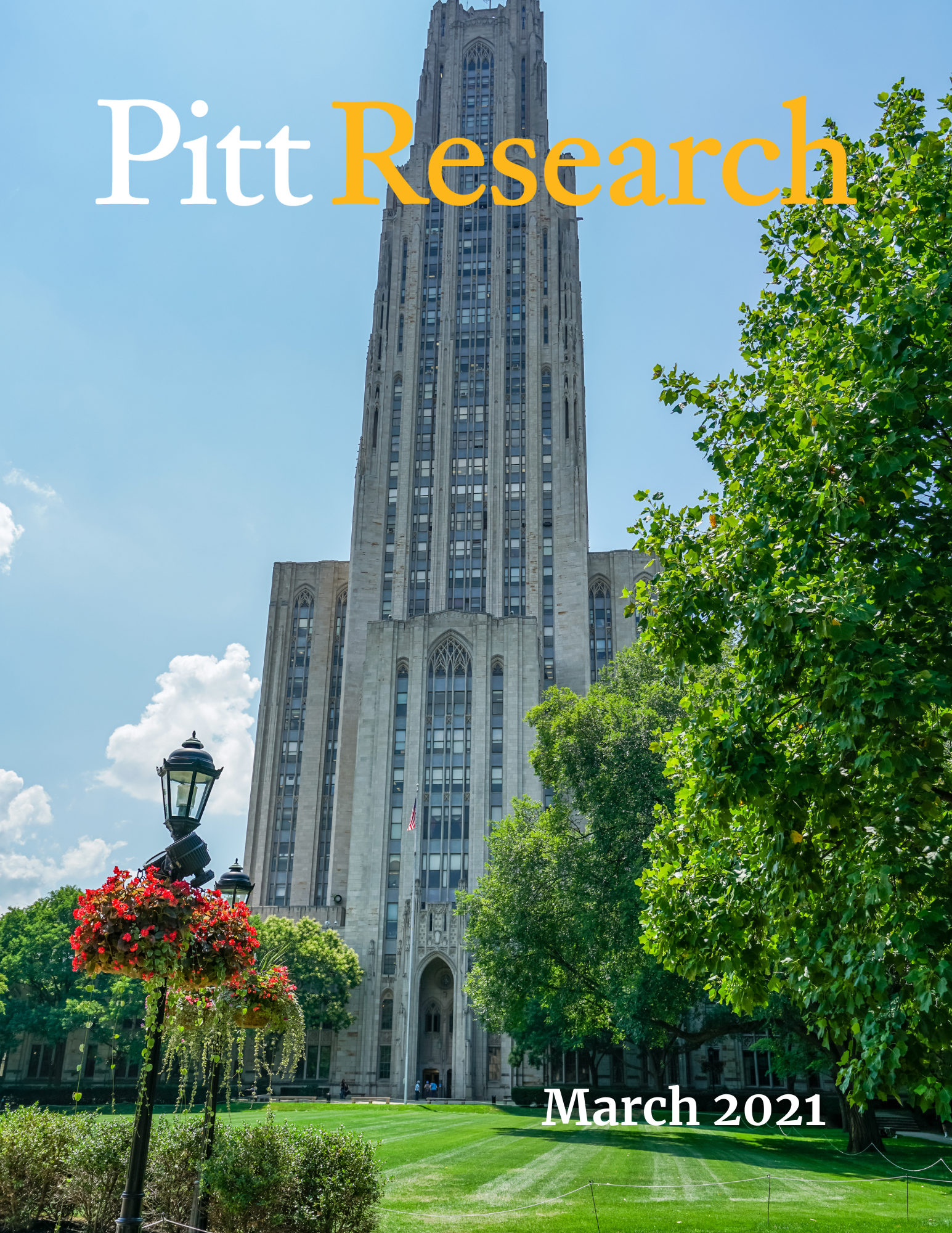 March 2021 Pitt Research Newsletter