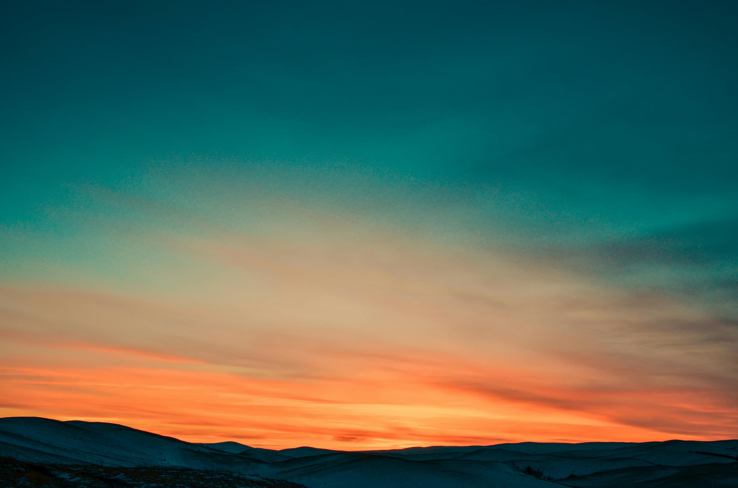 Test Header