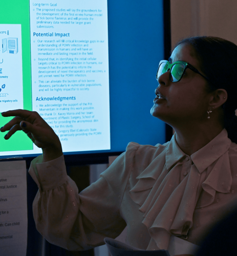 person presenting their research