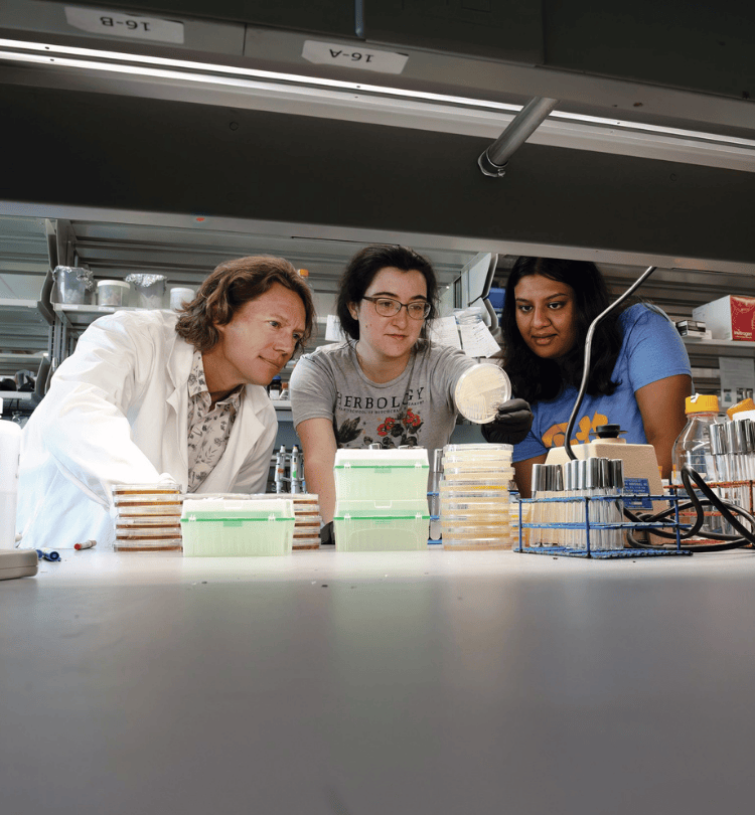 researchers in the lab
