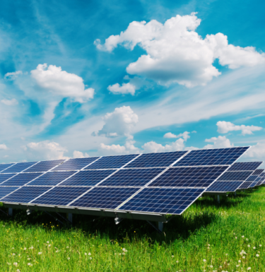 solar panels in field