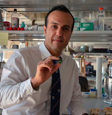 Amir Alavi