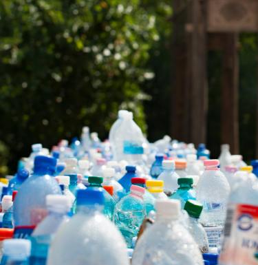 plastic bottles