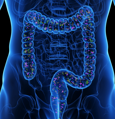 depiction of gut microbes
