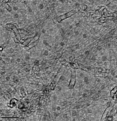 nanoparticles